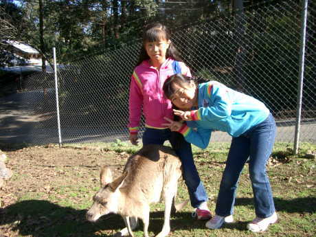 ���[���A������[�I