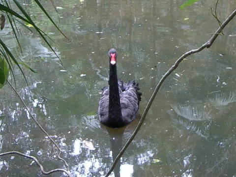 �u���b�N�X����