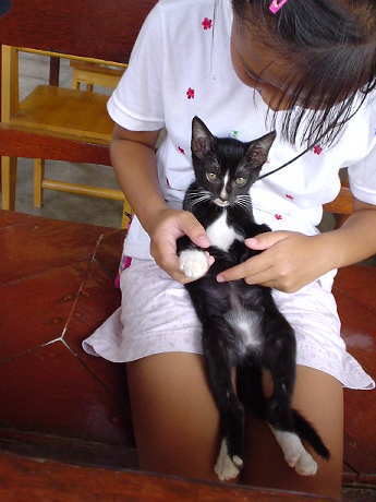 ���ɂ�ɂႿ�́`�B