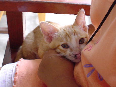 �����Ă�̂�H