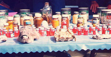 ������Ȃ�ł�����