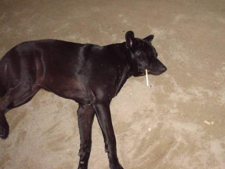 ���̈ꕞ���~�߂��Ȃ��񂾂�Ȃ��B