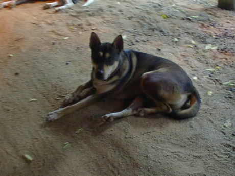 �������Ă�񂾂�A�I�I�J�~�ɕϐg���邽�߂ɁB