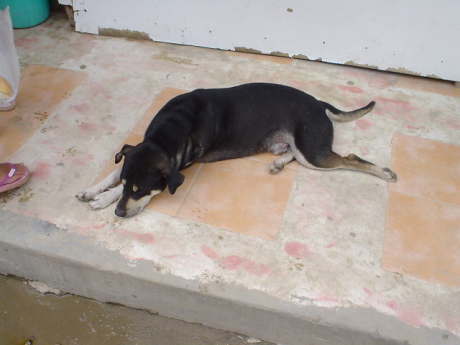 �͂��͂���Ȃ����