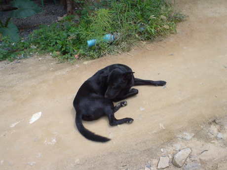 �F�������Ə����񂾂�Ȃ��B