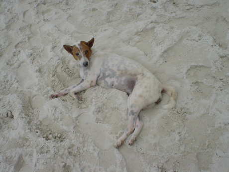 �ꏏ�ɍ����т��܂��񂩁H