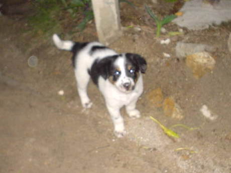 ���ꂢ�ɎB���Ă�A�s���ڂ�����C����