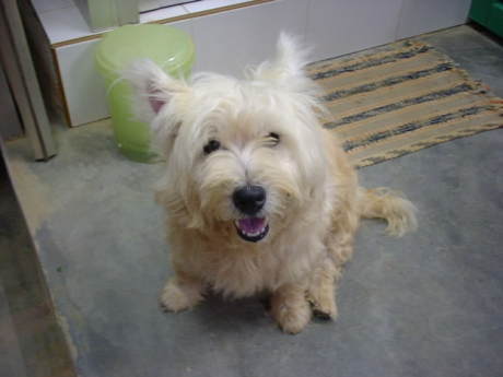 ��������Ⴂ�܂��B���ɂ��܂����H