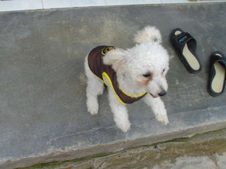 �ʂ�����݂���Ȃ����[