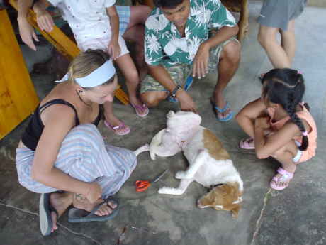 ��p�̌オ�`�N�`�N�ɂނ́A�搶���肢���܂��B