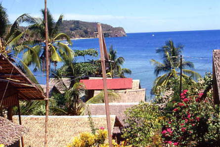 �v�G���g�K�����A�T�o���r�[�`