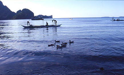 �G���j�h�A���̊C