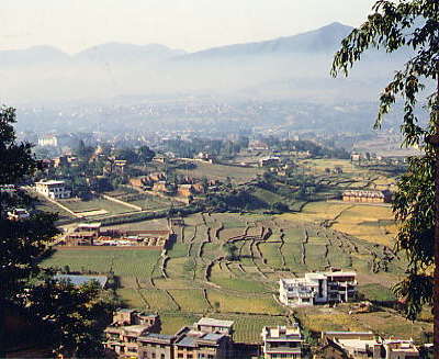 ������̃J�g�}���Y