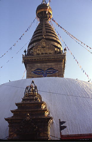 �X�������u�i�[�g