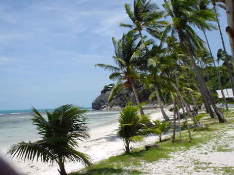 �����r�[�`�Q