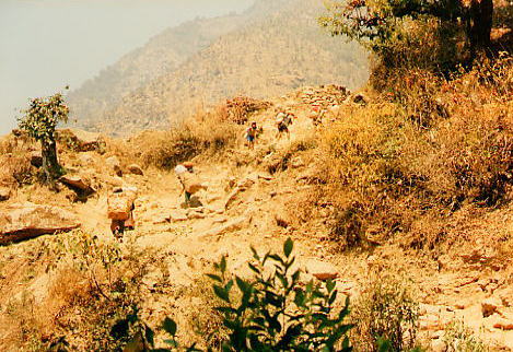 �g���b�L���O